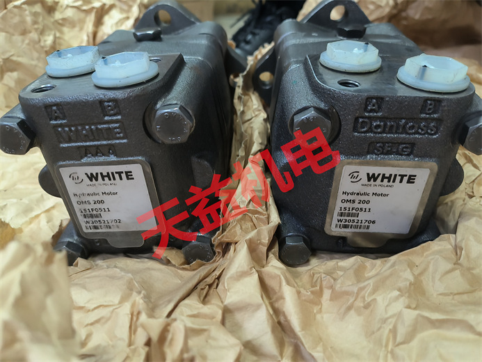 天益機(jī)電供應(yīng)液壓氣動2024工業(yè)產(chǎn)品 "PT4624-20MPA-12 60-SIL2 1" "OMS 200 151F0511" "PALL 濾芯" "PALL 濾芯HC8314FRP16Z" 